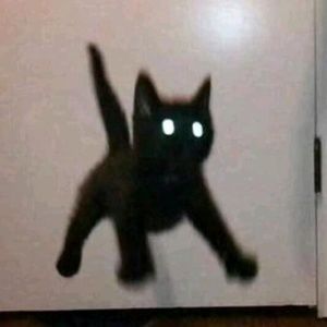 Meet your Posher, Jada